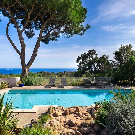 Costa Marina Daire Porto-Vecchio  Dış mekan fotoğraf